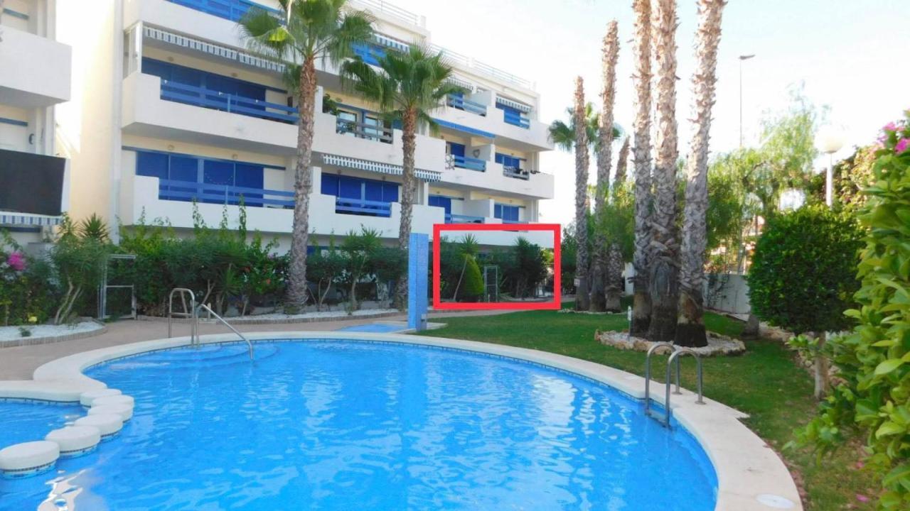 Coral House - La Calma - Playa Flamenca - Big Terrace & 4 Swimming Pools. Apartment Екстериор снимка